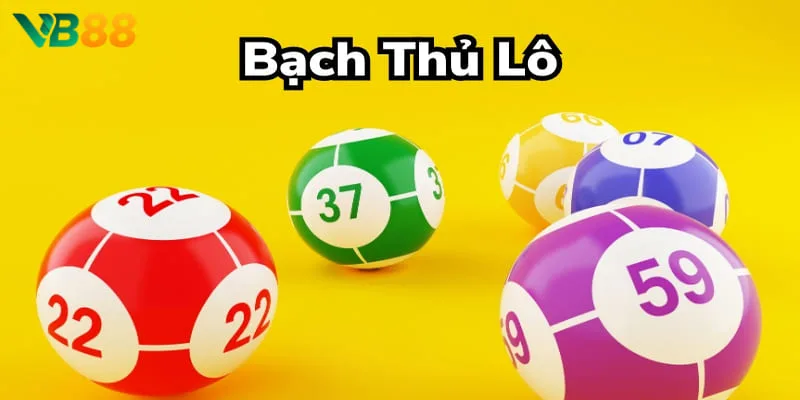 Nuôi bạch thủ lô dựa vào cầu lô đơn giản, hiệu quả Nuôi bạch thủ lô dựa vào cầu lô đơn giản, hiệu quả