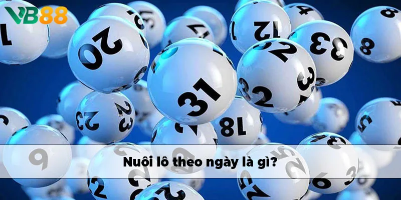 Nuôi lô theo ngày là gì? Nuôi lô theo ngày là gì?